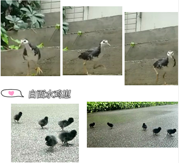 ʱ-ǲ!